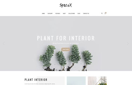 portfolio images