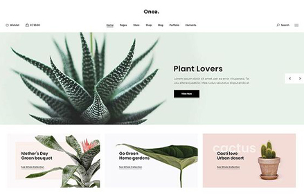 portfolio images