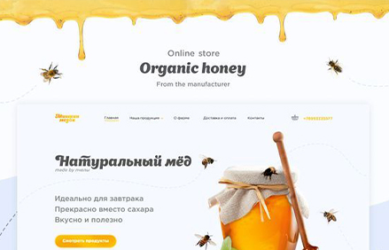 portfolio images