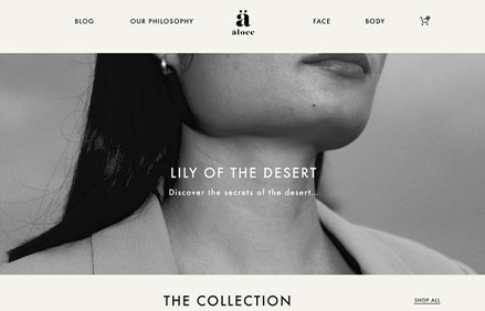 portfolio images