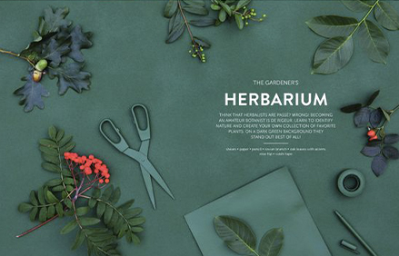 portfolio images